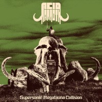 Acid Mammoth - Supersonic Megafauna Collision cover image